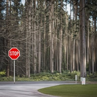 Stop Signs Along The Way