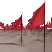 Red Flags
